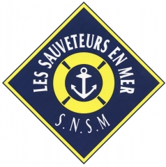 logoSNSM-400-dpi.jpg